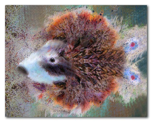 It's a what?  -  2009