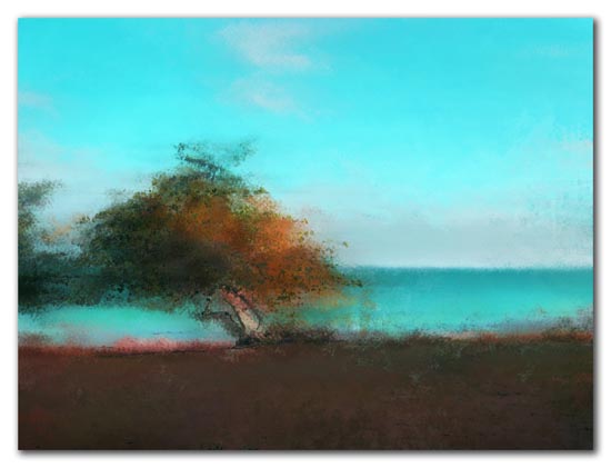 Sea Grape by the Shore - 2009