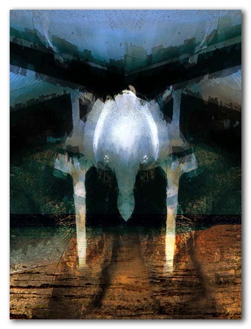 Ironman with feet of stone - 2009