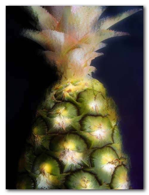 Black pineapple - 2009