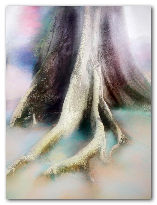 Rooted in the Magic Forest