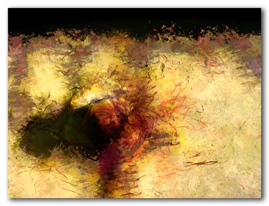 Rusty Bolt on Yellow Plank - 2009