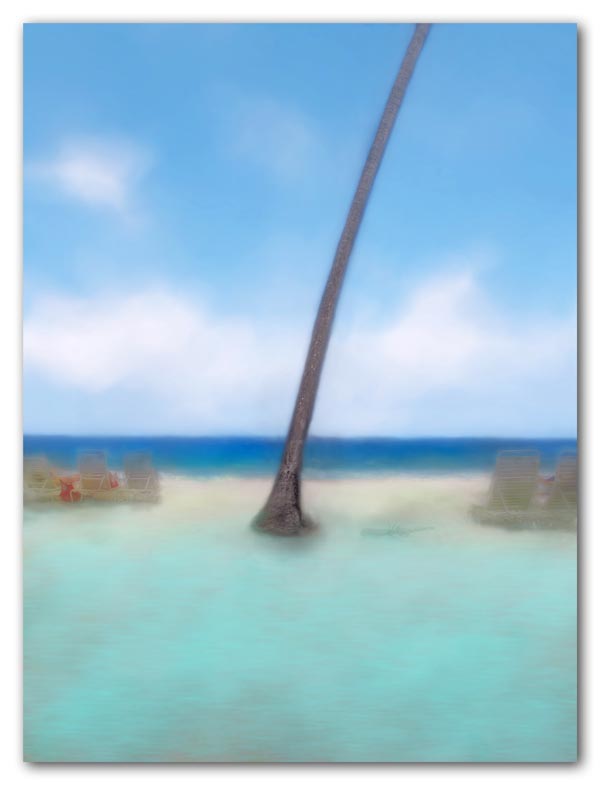 Palm and sunbathers at Carambola