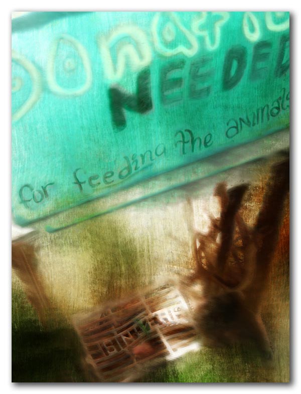 Donaltions Needed to feed the animals