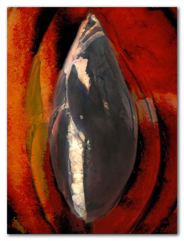 Mamey Sapote Seed