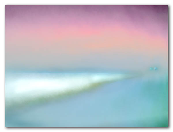 The beach at Siesta Key