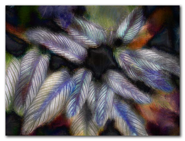 let the leaves draw you in