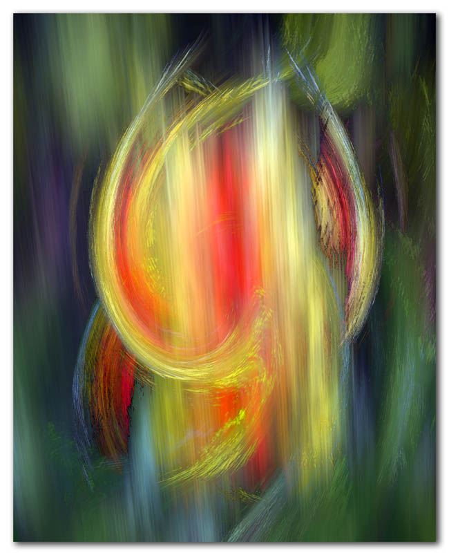 bromeliad inflorescence