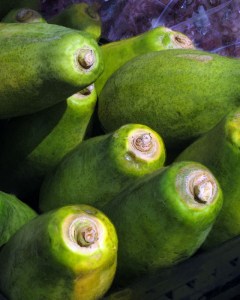 papaya