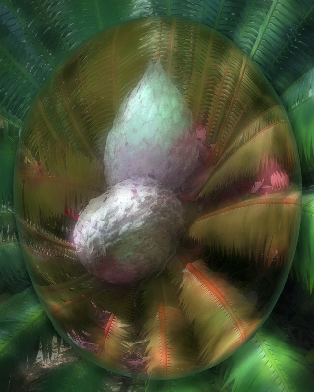 Upon Closer Inspection