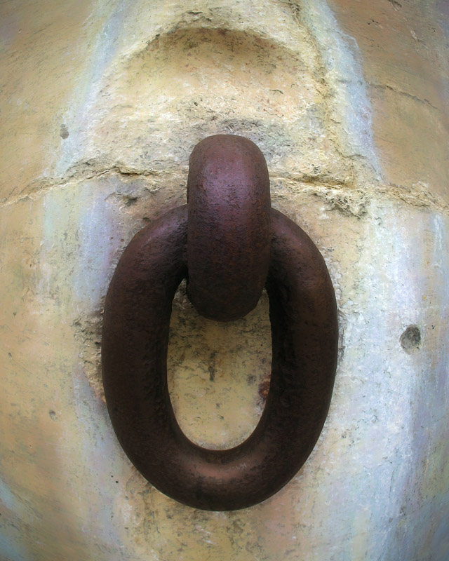 Ring Through Her Nose