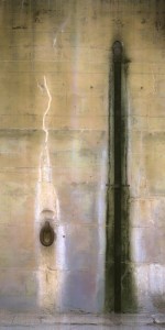 An Interesting Couple