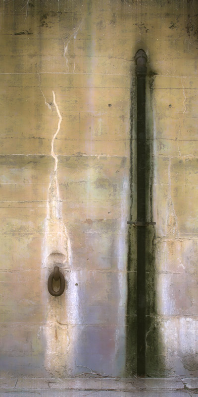 An Interesting Couple