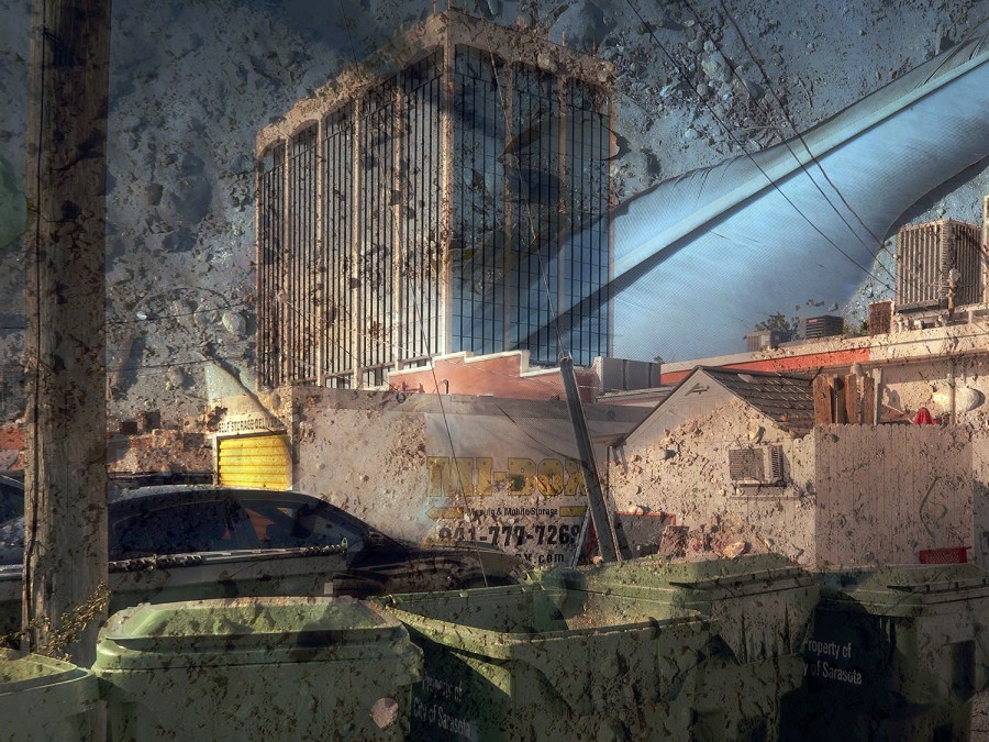 Attack of the Blue Feather